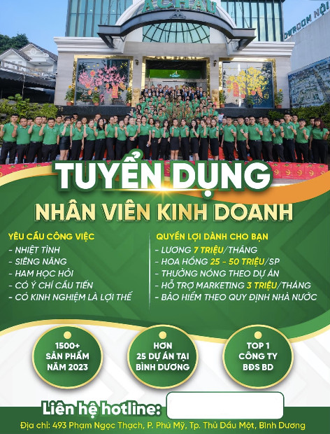 lĩnh vực hoạt động